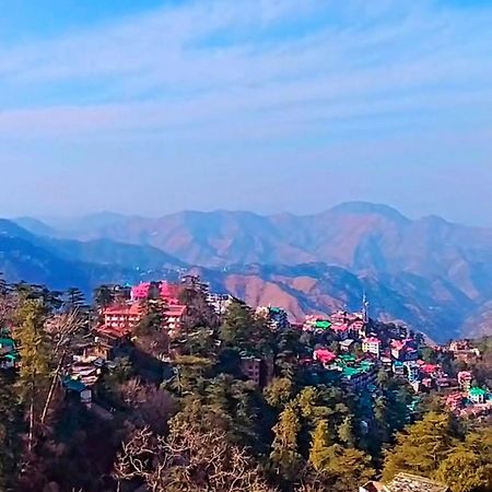 The Travelista Shimla Bed and Breakfast Exterior foto