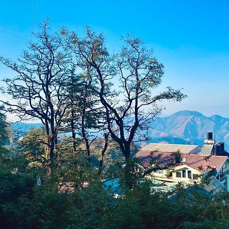 The Travelista Shimla Bed and Breakfast Exterior foto